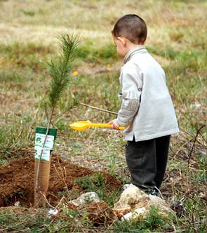 Fotografia d'un nen plantant un arbre