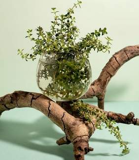 Foto Tallers de primavera 2026