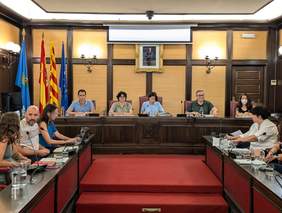 Foto Ple ordinari juliol 2024