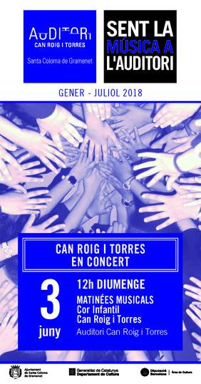 Cartell del concert