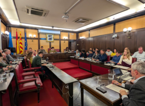 Imatge del Ple Municipal