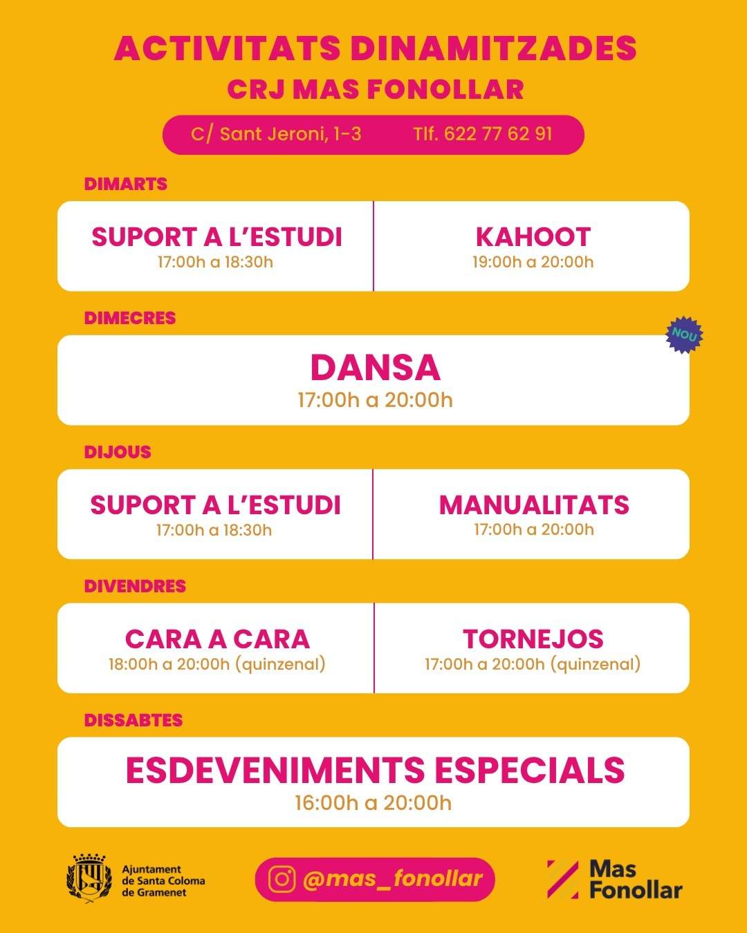 Programació de les activitats dinamitzades