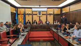 Foto de la sala de plenos