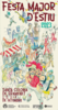 La imatge del cartell és la triada per votació popular. A partir d'aquesta, s'elaborarà la versió definitiva. És obra de l'artista colomenc Santos Veracruz.