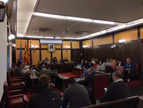 Foto del Ple ordinari de febrer 2023