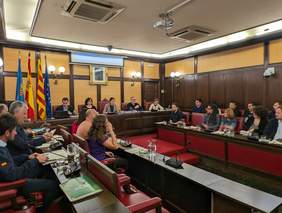 Imagen Pleno ordinario febrero 2024
