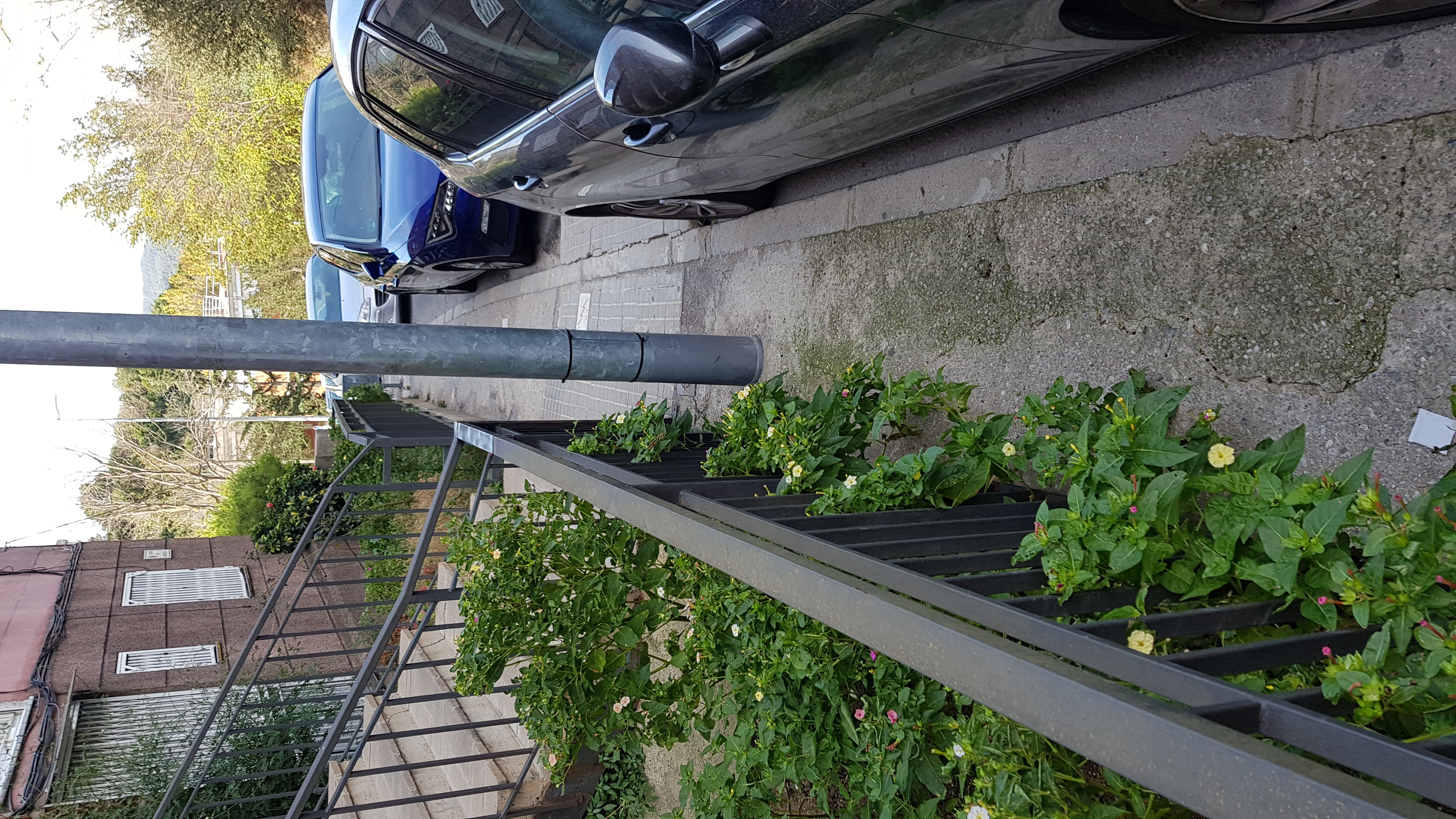 Carrer Menorca fotyografia de l'accés a un edifici del carrer Menorca
