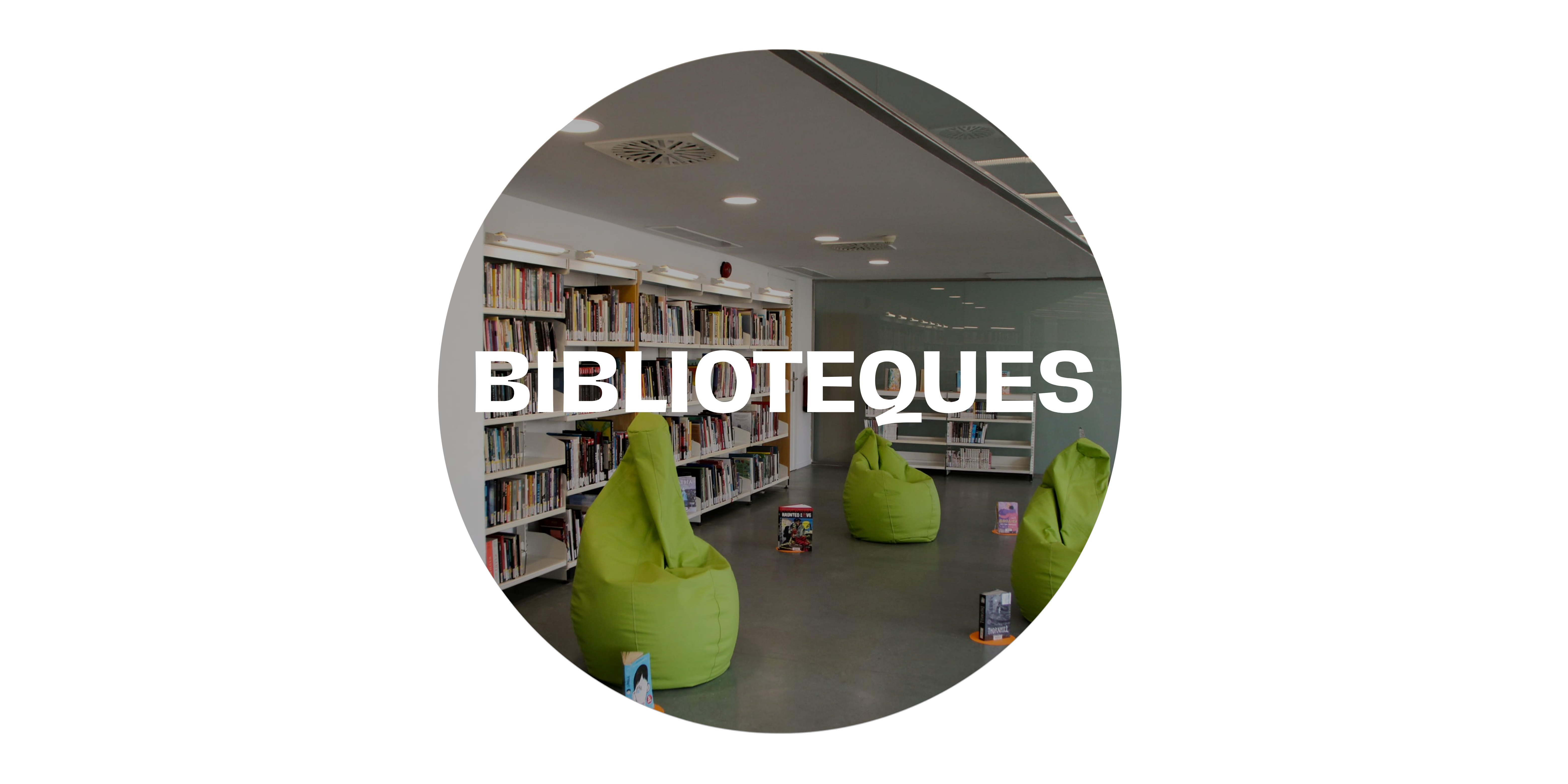 Imatge biblioteques de la ciutat