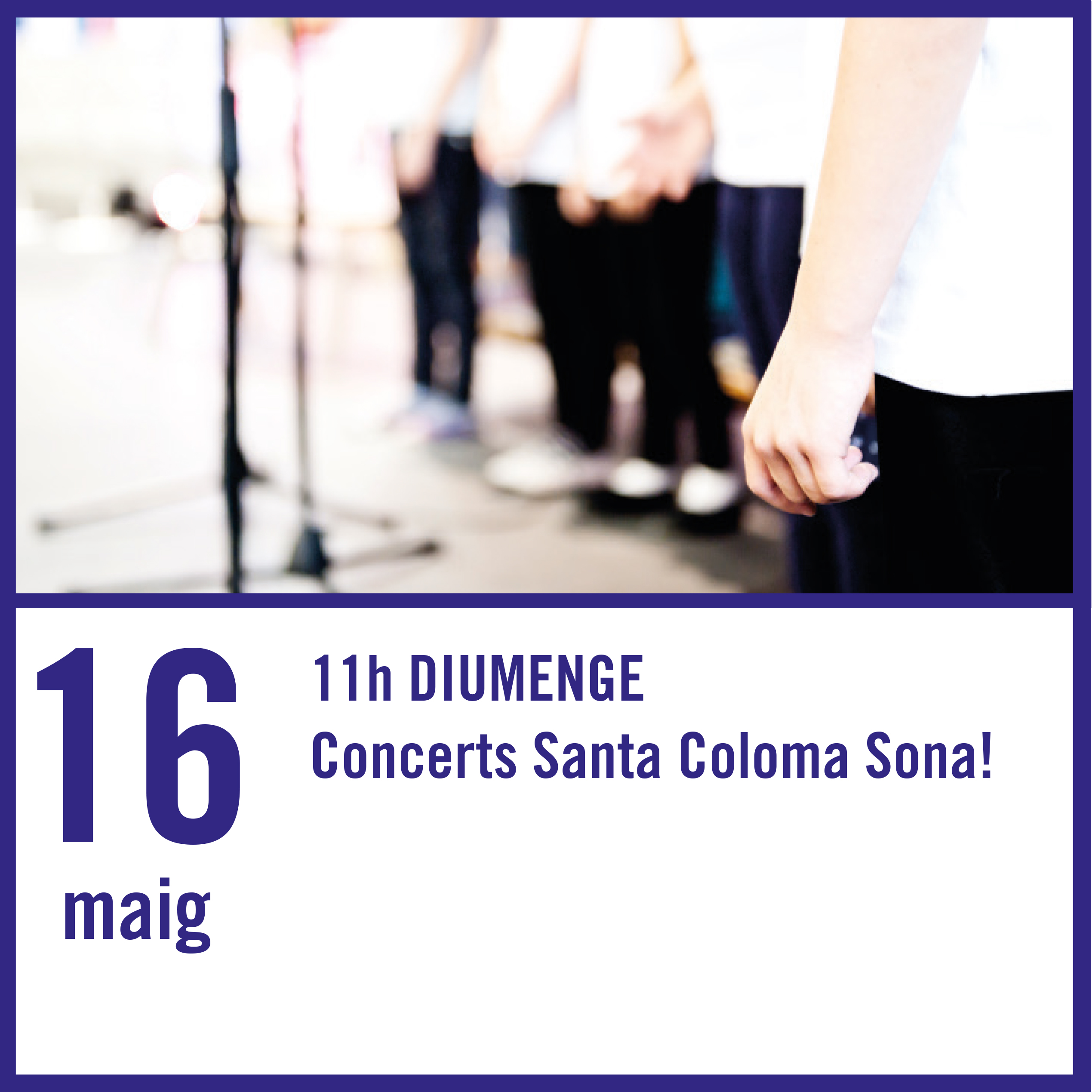 Imatge del programa del concert