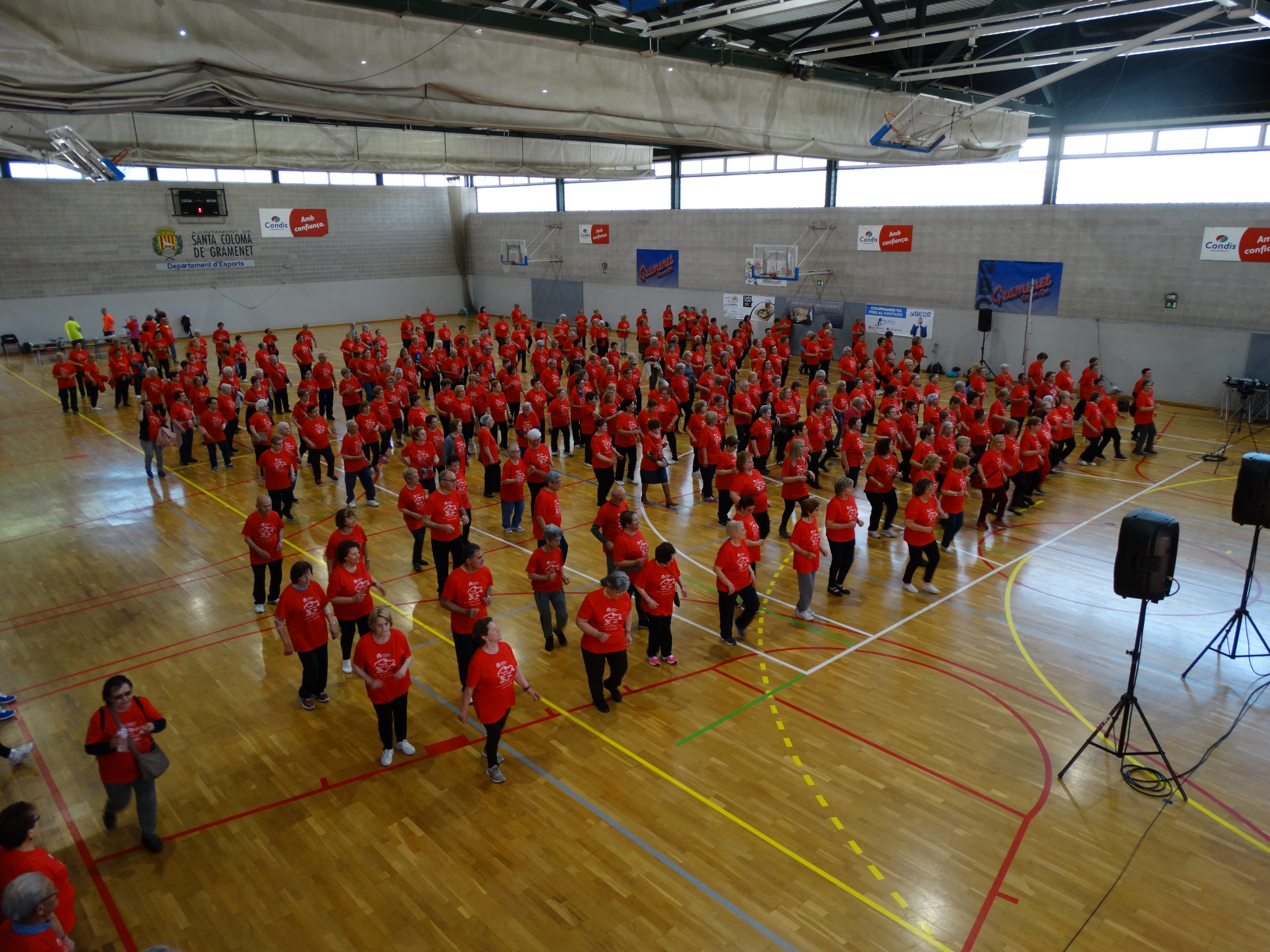 Activitat física gent gran Foto grup de gent gran fent activitat física a un pavelló poliesportiu