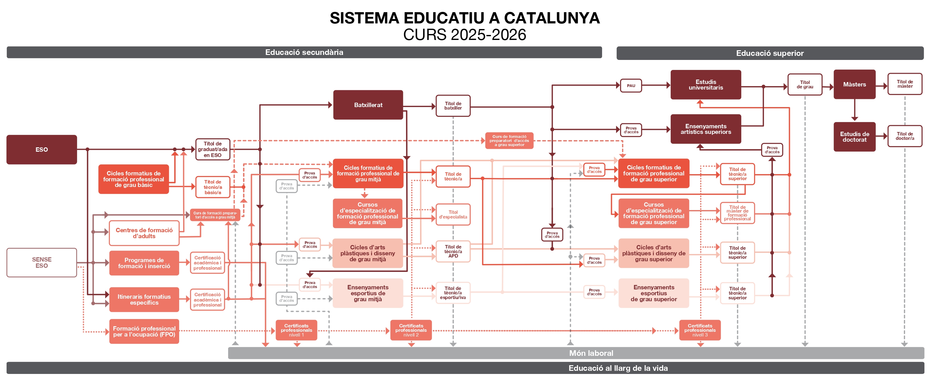 Esquema amb el sistema educatiu de Catalunya en el curs 2025-26