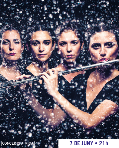 Cartell espectacle Cartell espectacle