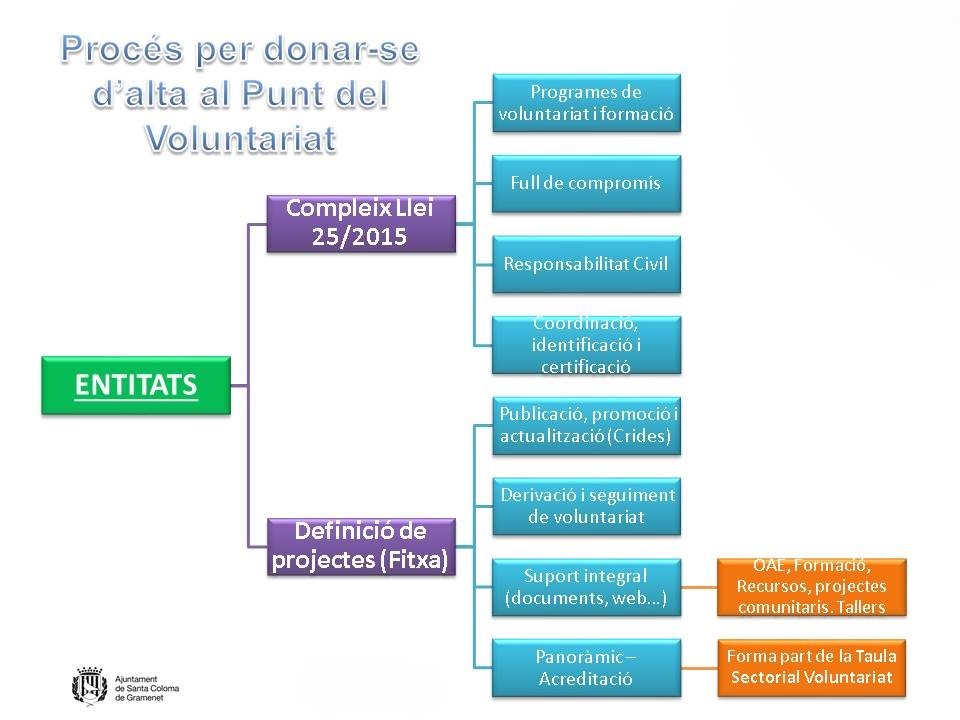 Esquema Procés d'alta entitat