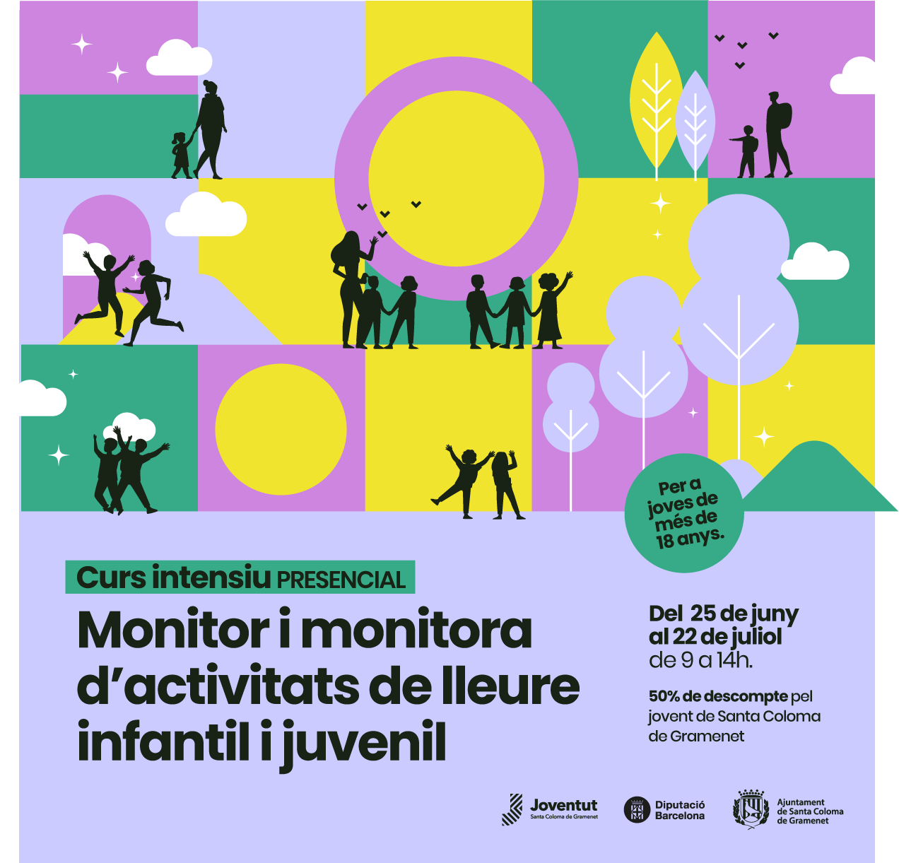 Cartell curs monitors 