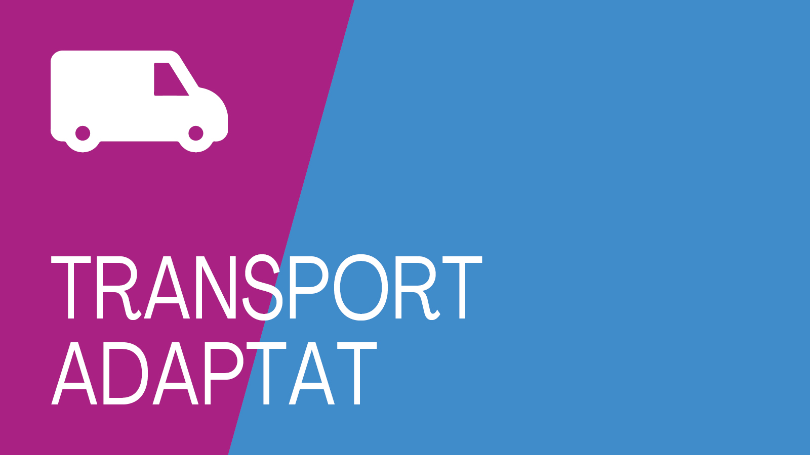 Botó d'accés transport adaptat
